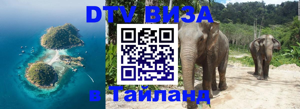 Оформление DTV визы под ключ: стоимость и тарифы, только загранпаспорт - Тольятти  05.10.2025 